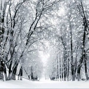 Meet your Posher, Beverley